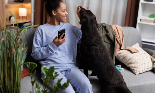 Canine Communication