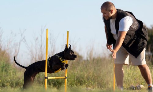 Canine Specialist Training