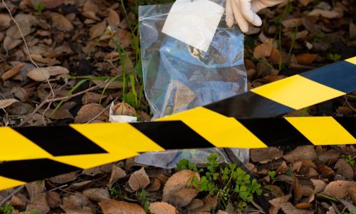 Crime Scene Investigation