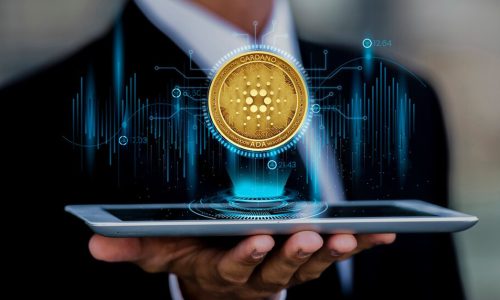 Cryptocurrency Intelligence