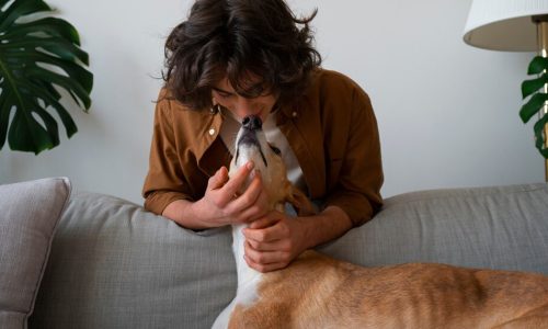Dog Care, Nutrition, diseases, cure & Training