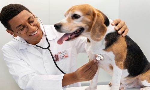 Pet Management & Care