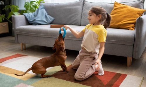 Playing Indoor Activities with Dogs