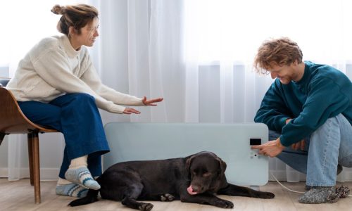 Therapy Dog for Autistic People